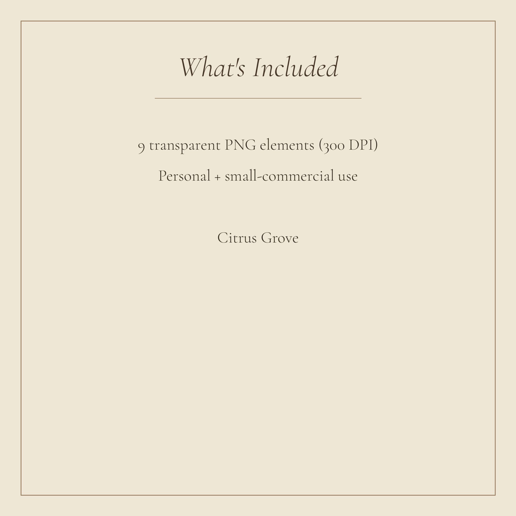 Citrus Grove Frames & Borders — preview