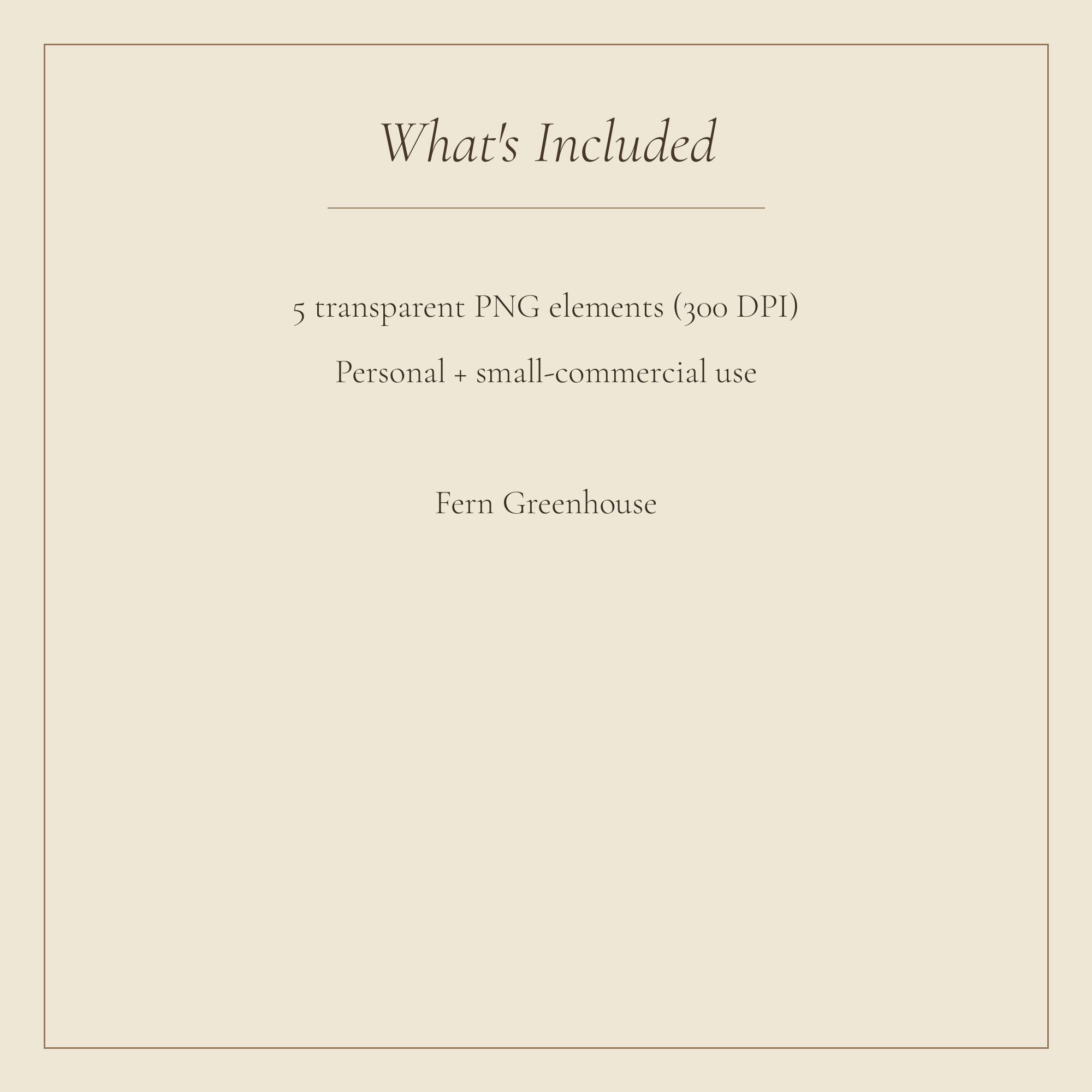 Fern Greenhouse Envelopes & Seals — preview